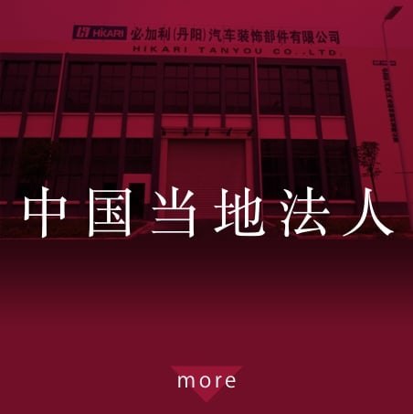 中国当地法人