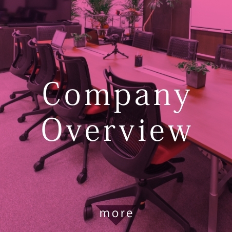 Company Overview