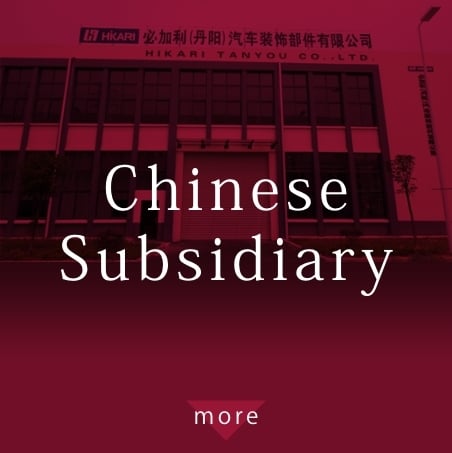 Chinese Subsidiary