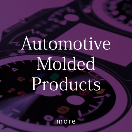 Automotive Molded Products